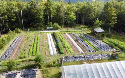 Lake Sunapee Region Summer Farms & Farmer’s Markets